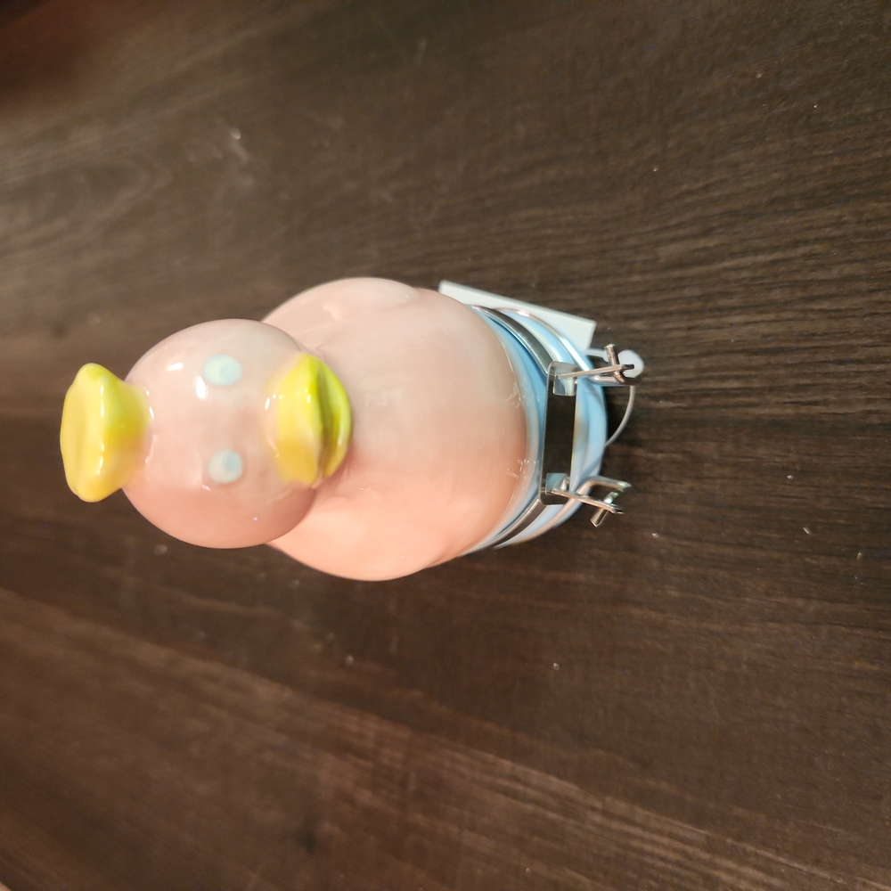 Duck ceramic.  used for any spices. New in box